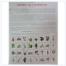 Flora de Filipinas Separata Part 2